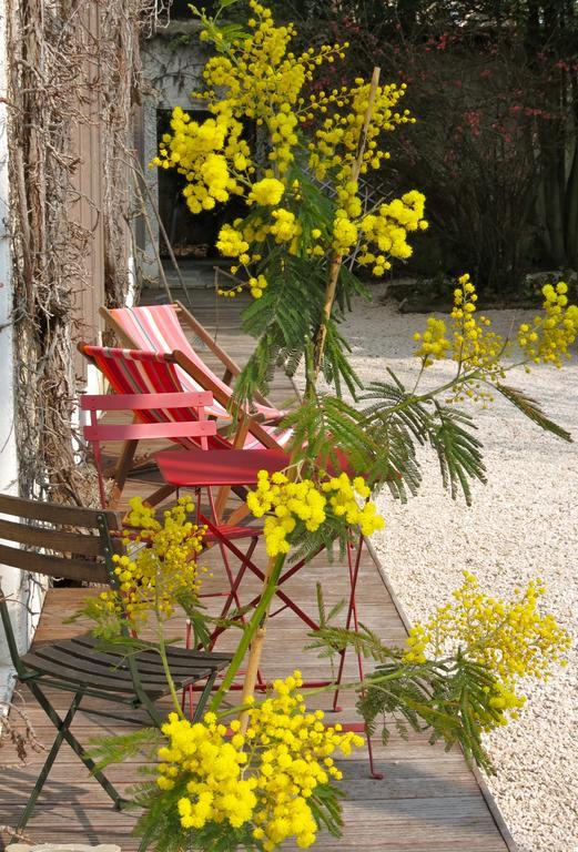 L'Annexe - Maison d'hôtes Écully Extérieur photo